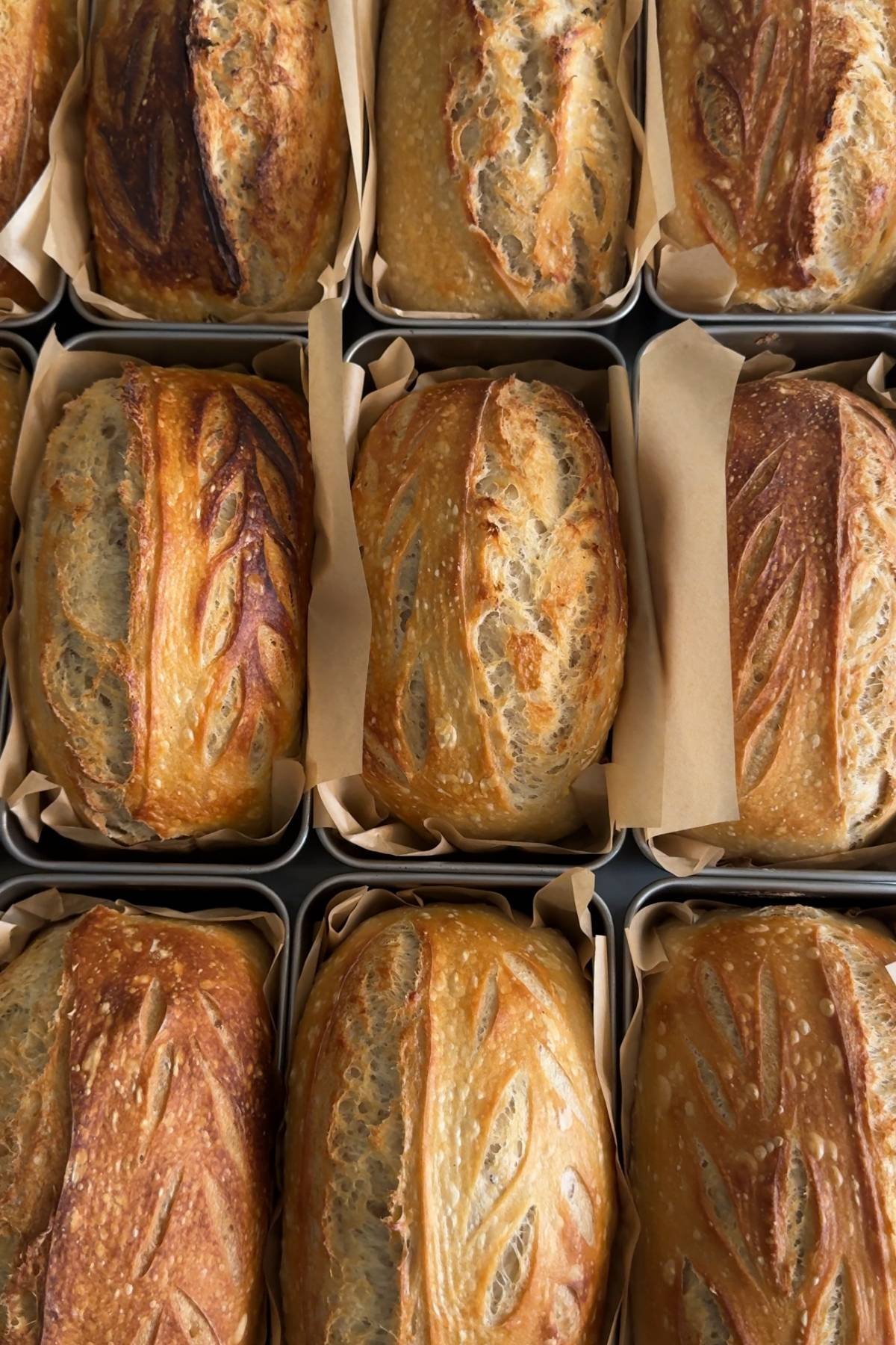 Organic Sourdough Starter