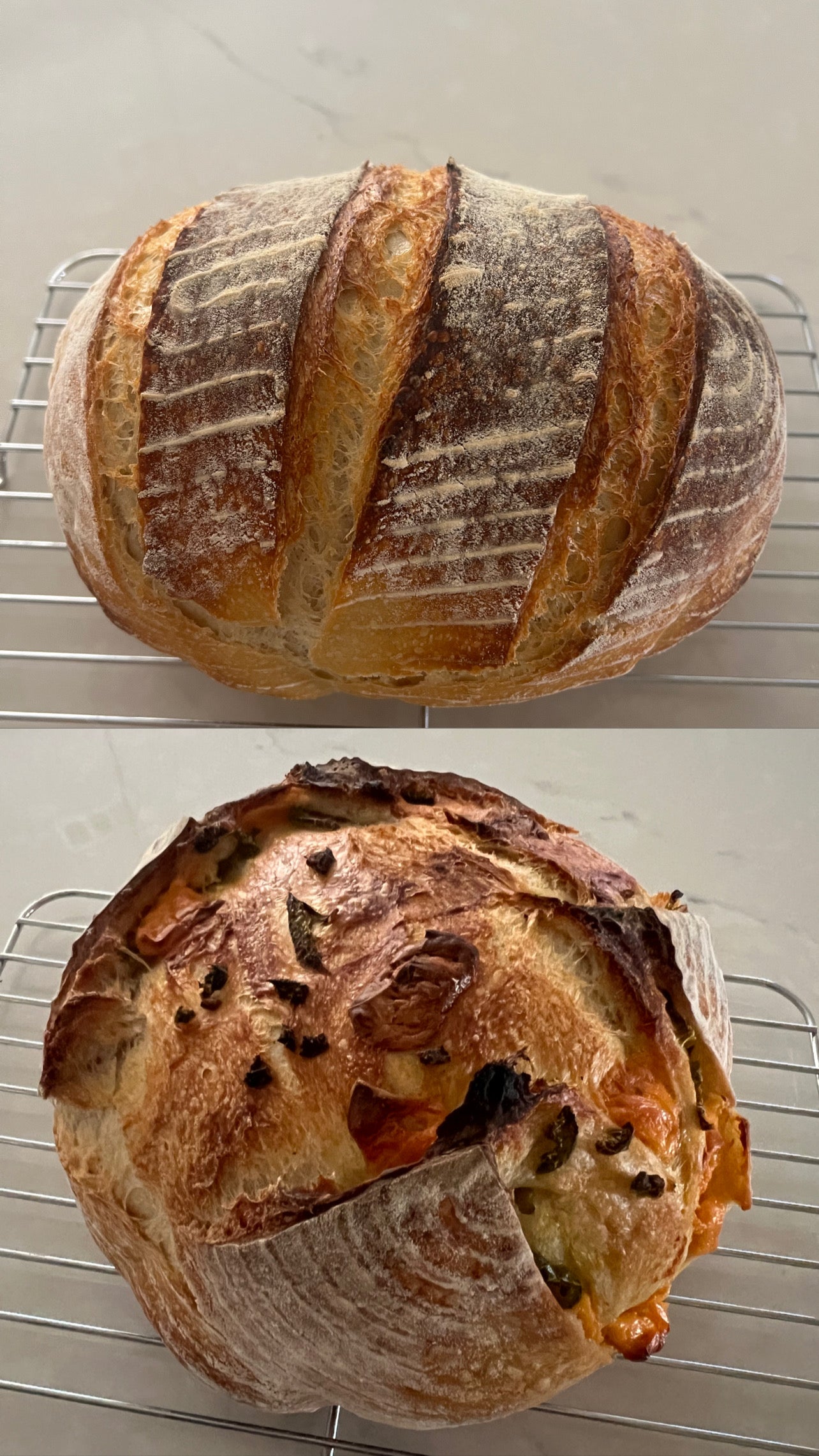 Sourdough Bread for Beginners