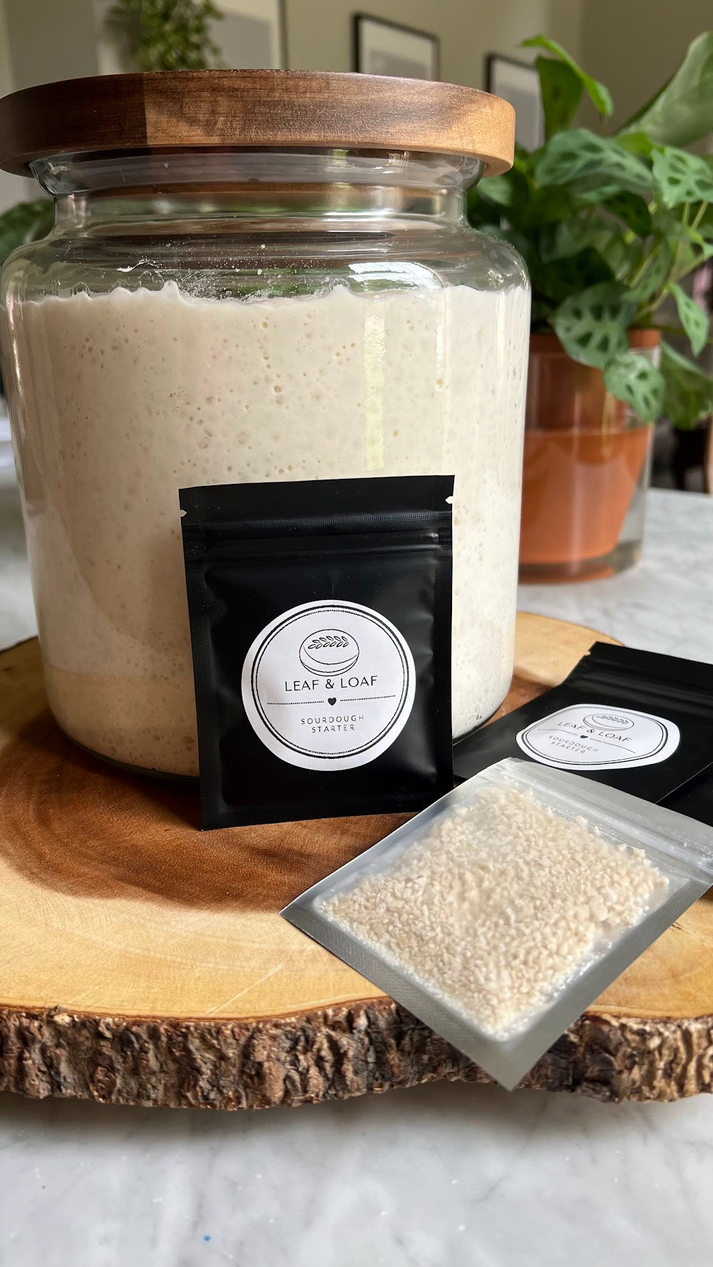 Organic Sourdough Starter - Super active, healthy and strong